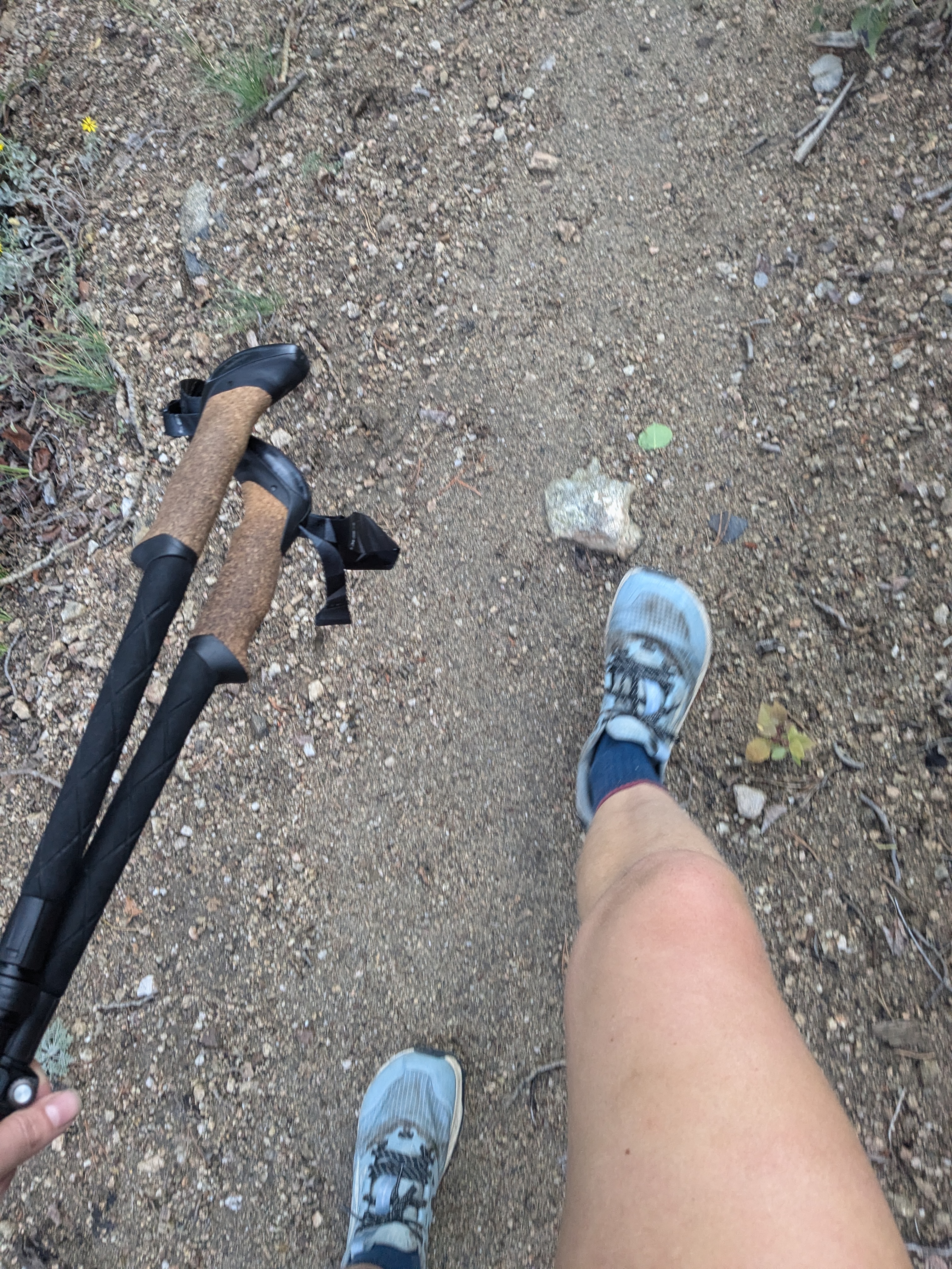 A view looking down at a hiker's legs, feet, and trekking poles