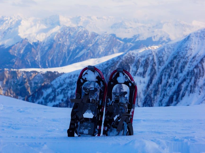 snow shoes sticking out of the snow
