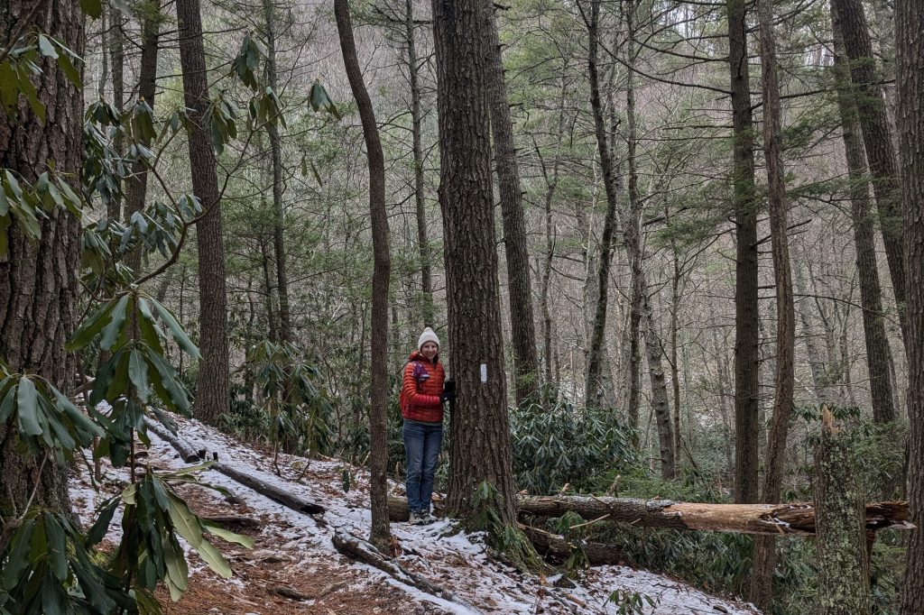 woman in a snowy forest