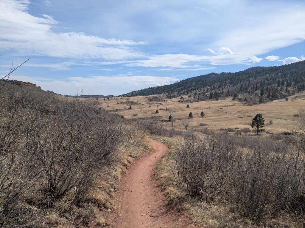 A valley filled with shrubs and grass
