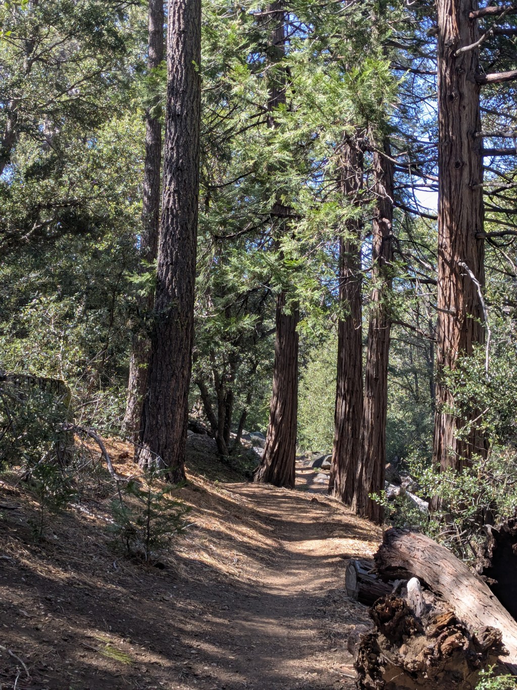 Day 2: Easy walking and my first resupply stop on the&nbsp;PCT