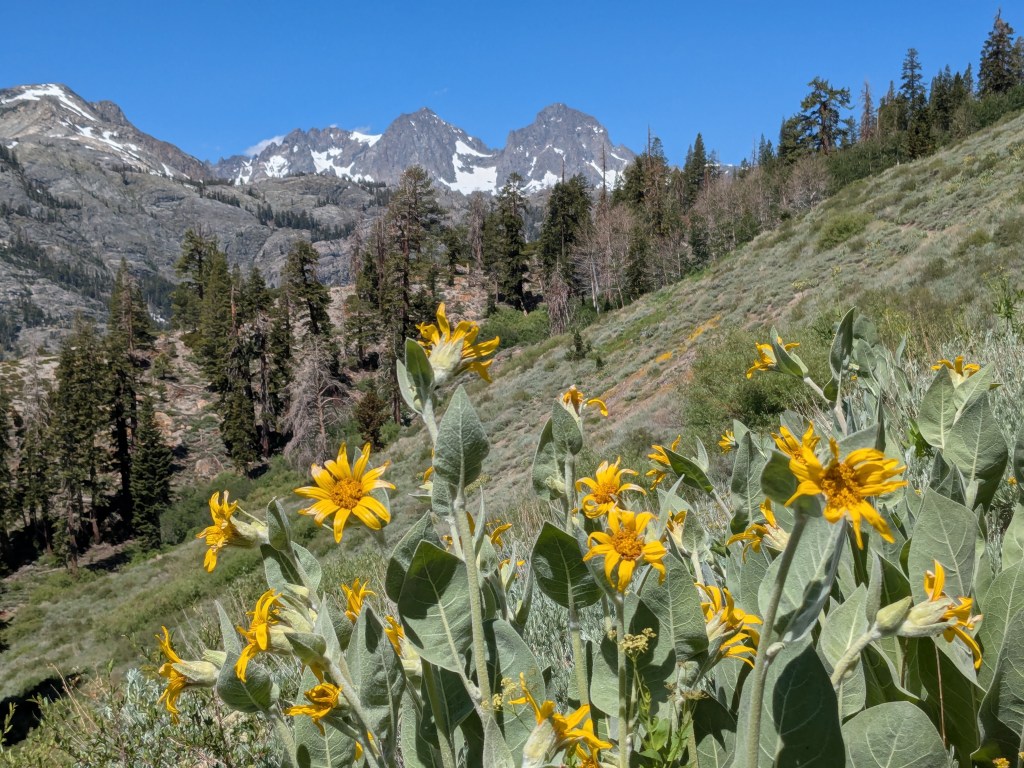 Walking into Yosemite: solo camping and lazy&nbsp;mornings