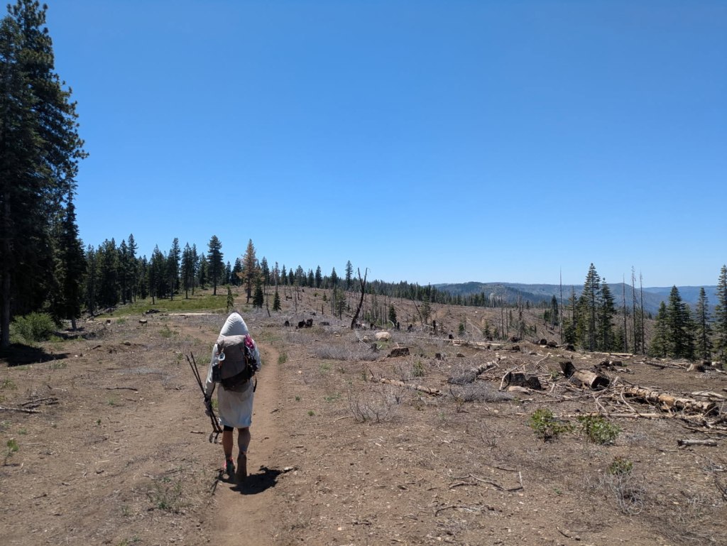 Hot Hiking in NorCal: Crossing a burn area in 90-degree&nbsp;heat