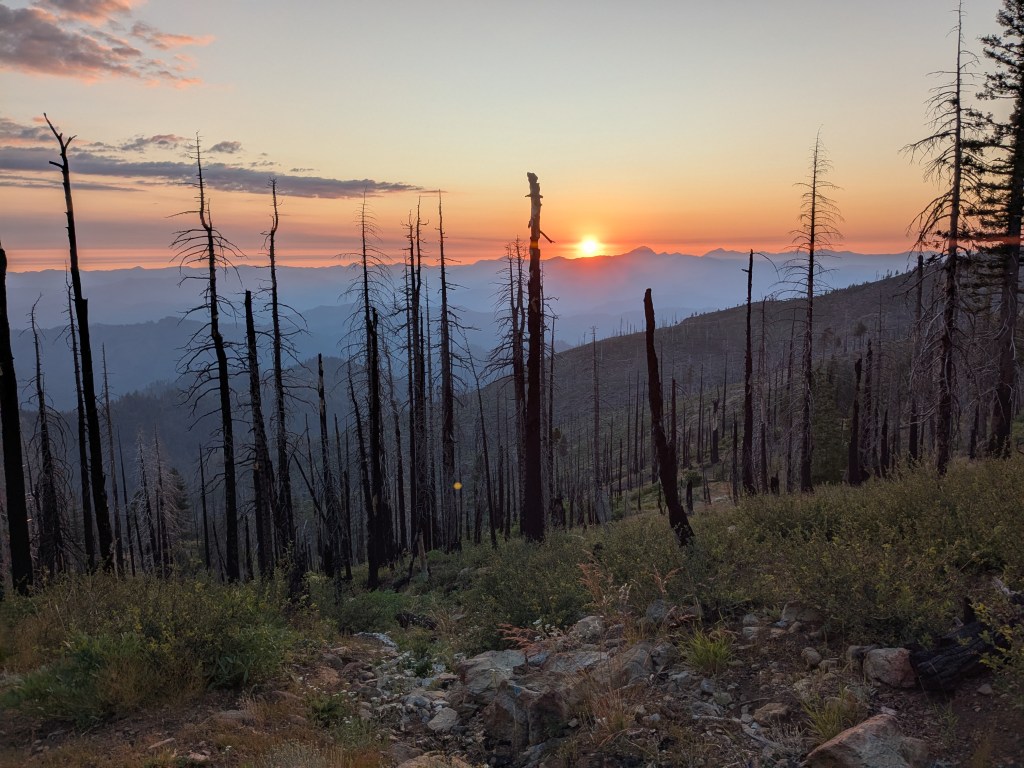Almost out of California and crossing a fresh burn&nbsp;area