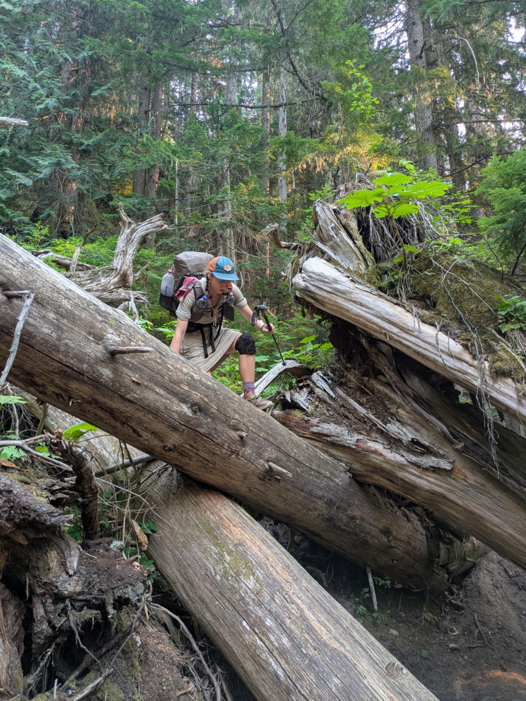 Northern Washington: battling blowdowns and wildfire&nbsp;smoke