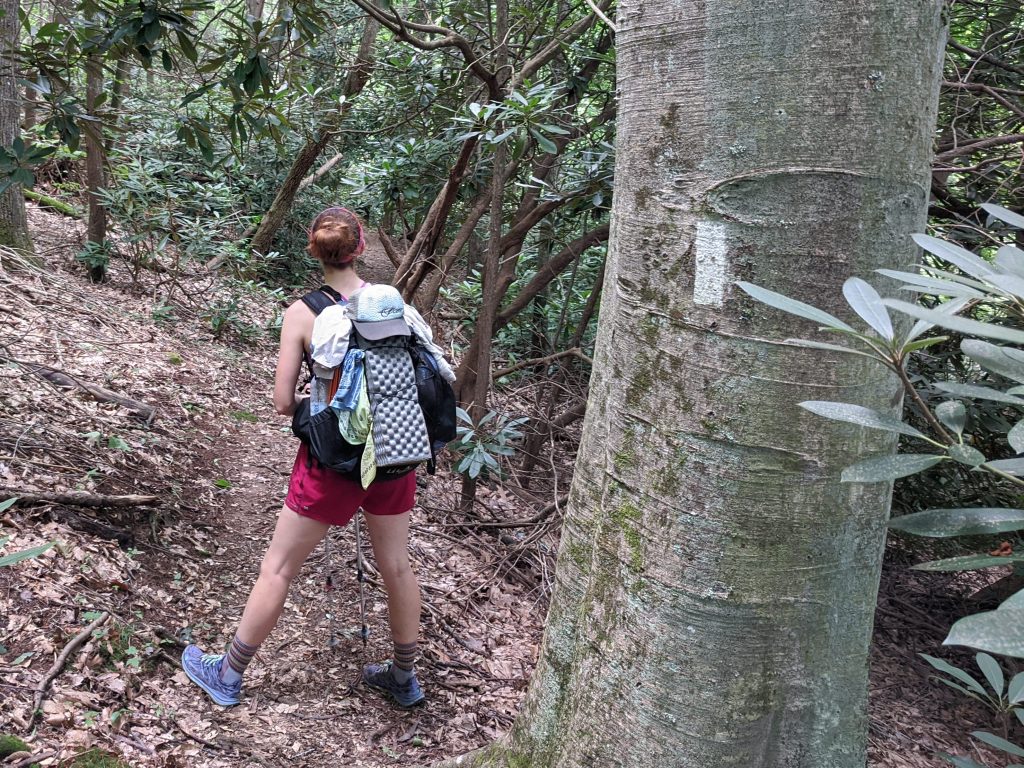 A backpacker looking away from the camera next to a tree with a white blaze